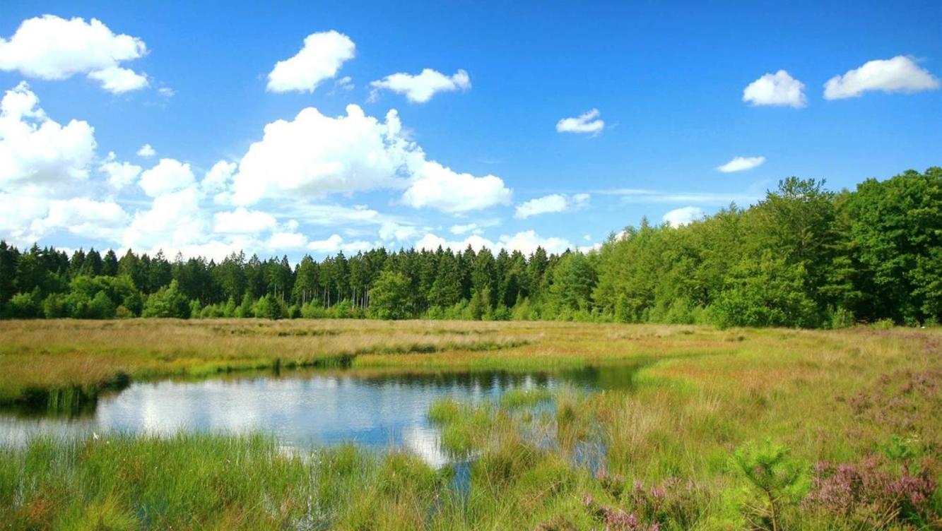 Wateren Comfortabel Chalet In Nationaal Park מראה חיצוני תמונה